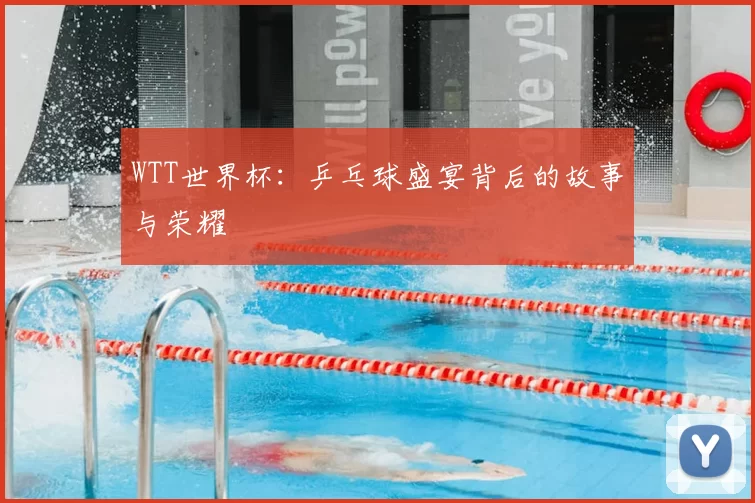 WTT世界杯：乒乓球盛宴背后的故事与荣耀