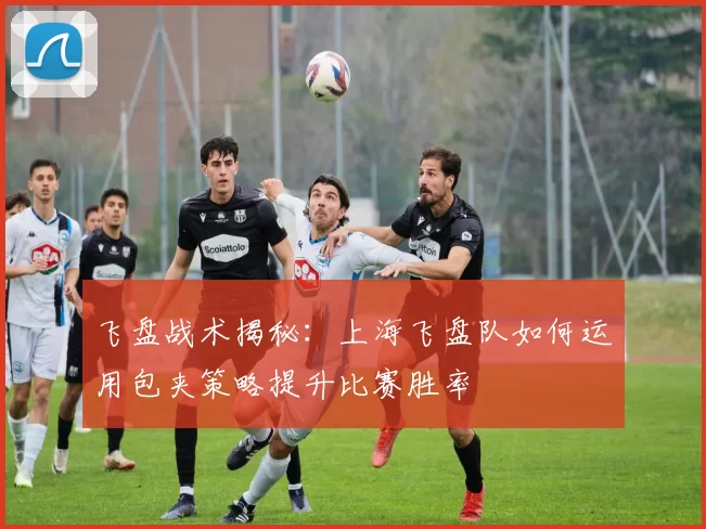 飞盘战术揭秘：上海飞盘队如何运用包夹策略提升比赛胜率