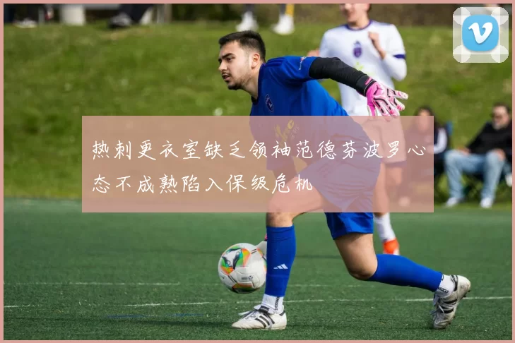 热刺更衣室缺乏领袖范德芬波罗心态不成熟陷入保级危机