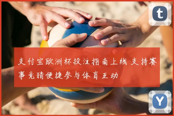 支付宝欧洲杯投注指南上线 支持赛事竞猜便捷参与体育互动