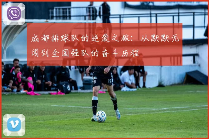 成都排球队的逆袭之旅：从默默无闻到全国强队的奋斗历程