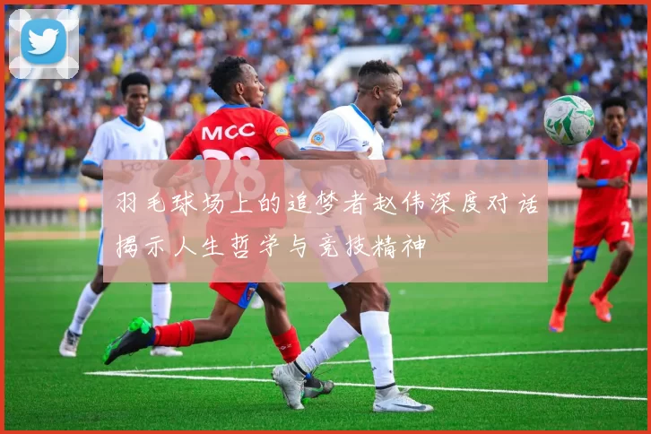 羽毛球场上的追梦者赵伟深度对话揭示人生哲学与竞技精神