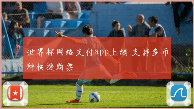世界杯网络支付app上线 支持多币种快捷购票