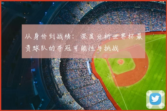 从身价到战绩：深度分析世界杯最贵球队的夺冠可能性与挑战