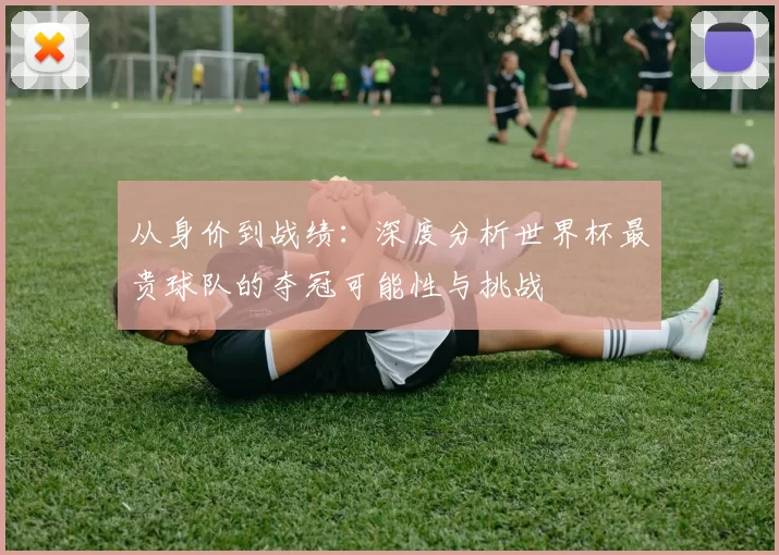 从身价到战绩:深度分析世界杯最贵球队的夺冠可能性与挑战