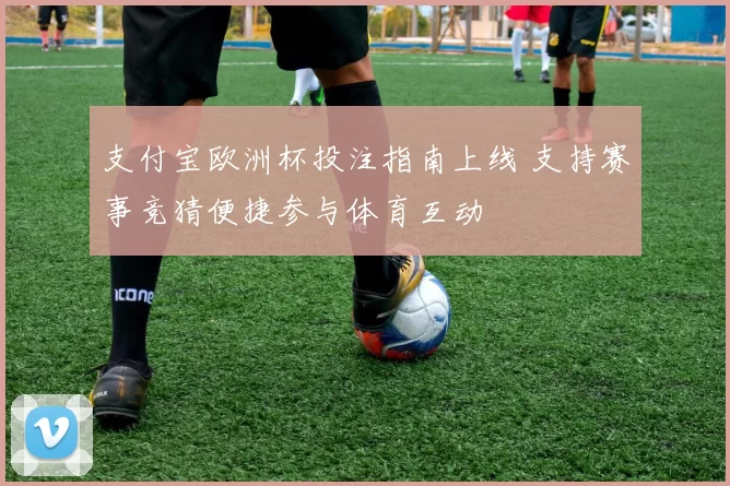 支付宝欧洲杯投注指南上线 支持赛事竞猜便捷参与体育互动