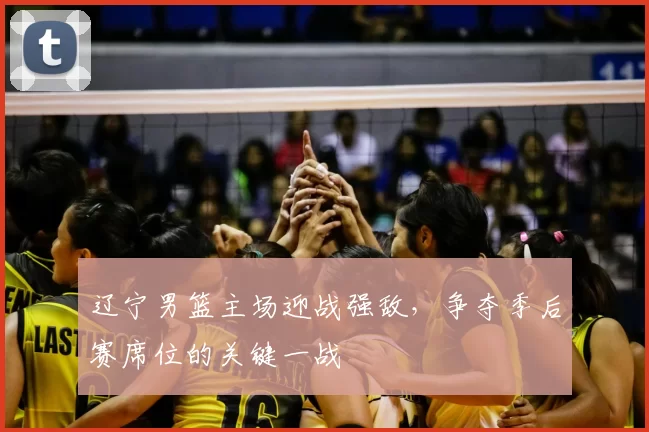 辽宁男篮主场迎战强敌，争夺季后赛席位的关键一战